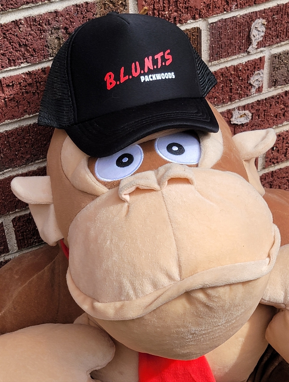 Packwoods Trucker Cap